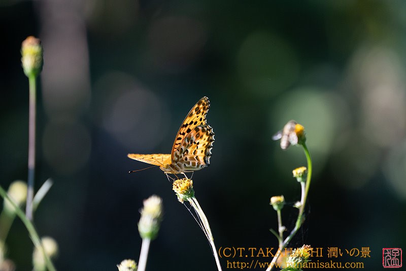 ../Images/7R241013 (280).jpg